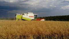 Claas Lexion