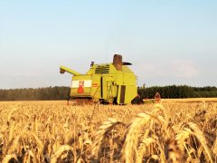 Claas Mercator 50