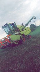 Claas protector