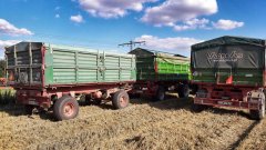 Czarnobiałostocka T-104