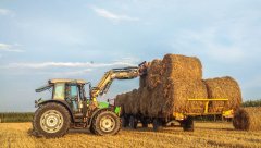 Deutz Fahr Agrofarm 85 + stoll robust 15