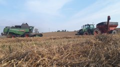 Fendt 6275L & Fendt 826 