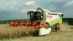 Lexion 