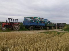 Massey Ferguson 255 &  Ursus  C-330M