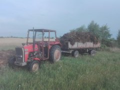 Massey Ferguson 255