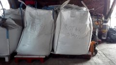 Pszenica ozima Rotax