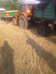 Ursus C-355 & Piławka