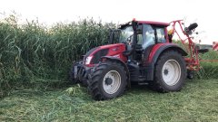 Valtra w Biebrzanskim parku