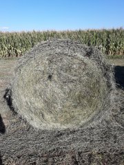 Bela DF MP 130 + MF 3060