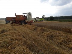 Bizon i Claas Lexion 