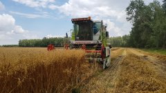 Claas Dominator 88SL MAXI