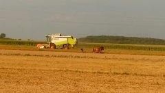 Claas Lexion 420 + Koń 