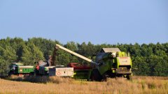 Claas