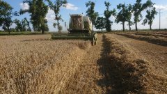 Fortschritt MDW E 524 