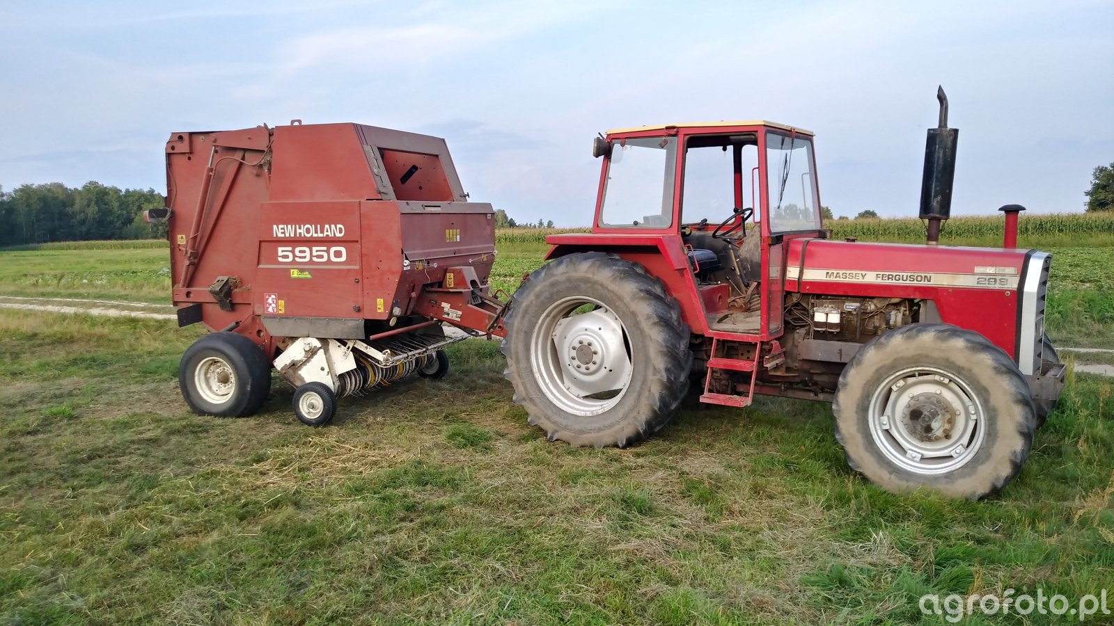 Massey Ferguson 298 i prasa NH 5950