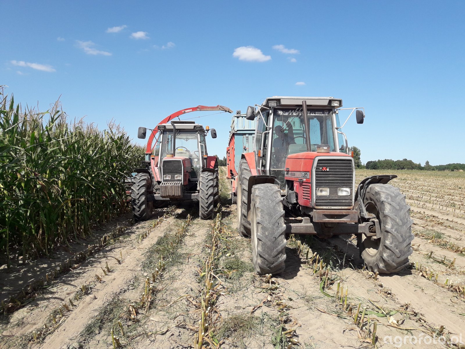 Massey Ferguson 3080 & Mengele Super Garant i Massey Ferguson 3095 & Mengele SH20