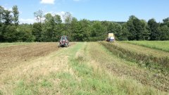 Massey Ferguson 3085 & Bizon Z056