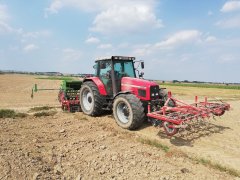 Massey Ferguson 6290