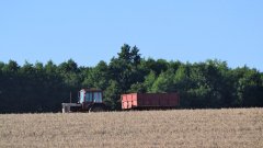 MTZ 82