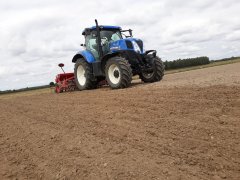 New Holland