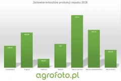 Rzepak 2018 - zestawienie kosztów