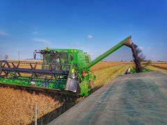 Rzepak Phoenix CL - 15.07.2018