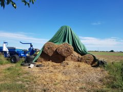 słoma zeszłoroczna