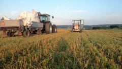 Ursus c-360 3p, MF 3085 & Bizon Z056