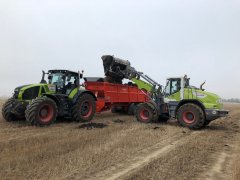 Claas Axion + Claas Torion