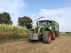 Claas Axion 950 + Pronar