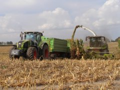 Claas Jaguar 950 + Claas Axion 850