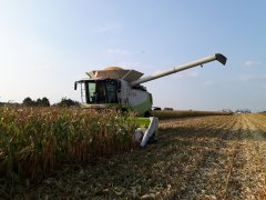 Claas Lexion 600 + Conspeed 12-75 C