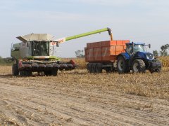 Claas Lexion 780 & New Holland T7 315