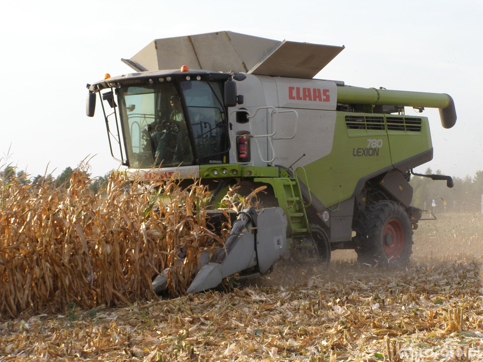 Kombajn Claas Lexion 780 Foto 737981 Galeria Rolnicza Agrofoto