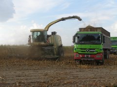 Krone Big X 700 & Mercedes Actros