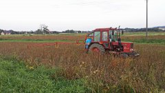 Mtz  82 & Biardzki 400l 12 m