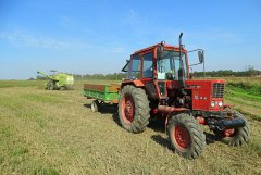 Mtz  82 & Przyczepa & Claas Consul