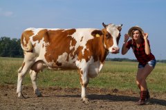 Paciaciakowa - 4 lata później