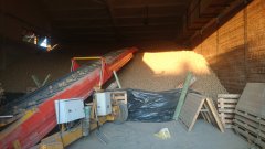 Przechowywanie ziemniaków