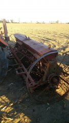 Siewnik konny Kaszub