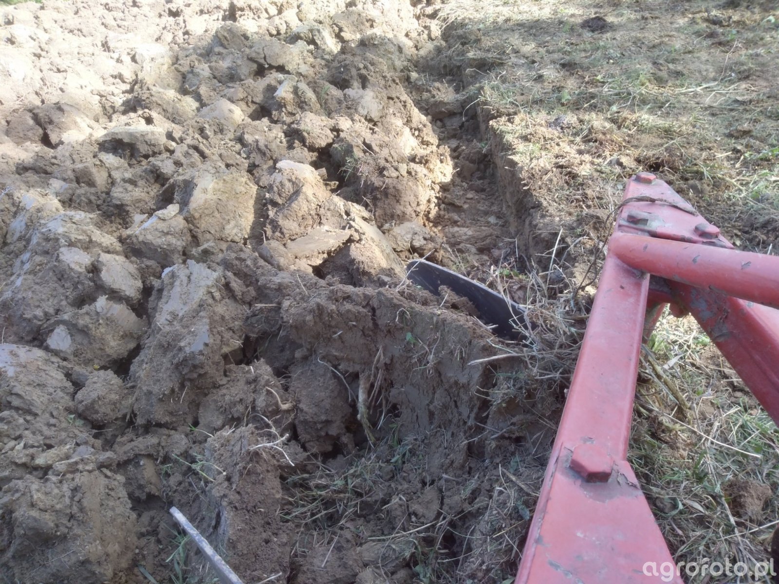 UG2 - Zagonowe - Agrofoto.pl Forum Rolnicze i Galeria Rolnicza