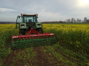 Agro-tom & Fendt 310LSA