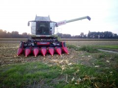 Claas Lexion 650 + Geringhoff RotaDisc 