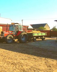 Massey Ferguson 1014