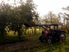 MASSEY FERGUSON 255