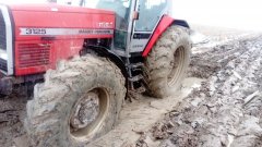 Massey Ferguson 3125