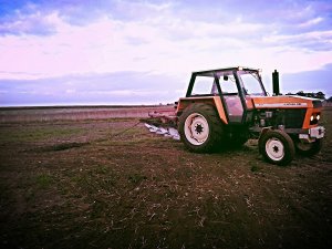 Ursus 912