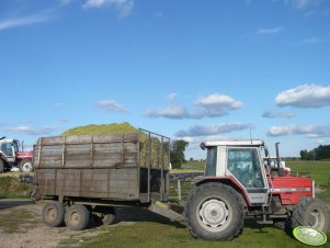 Massey Ferguson 3060 + rozrzutnik