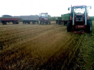 Zetor Proxima 100 + Przyczepy i Zetor 7711 + Przyczepy