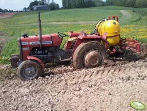 MF 255 z opryskiwaczem